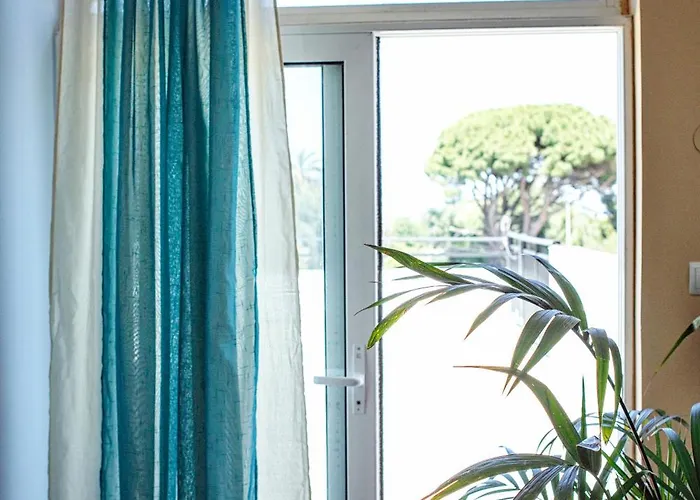 Daphne's Rooftop * Ialisos